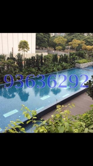 Centennia Suites (D9), Condominium #161568542